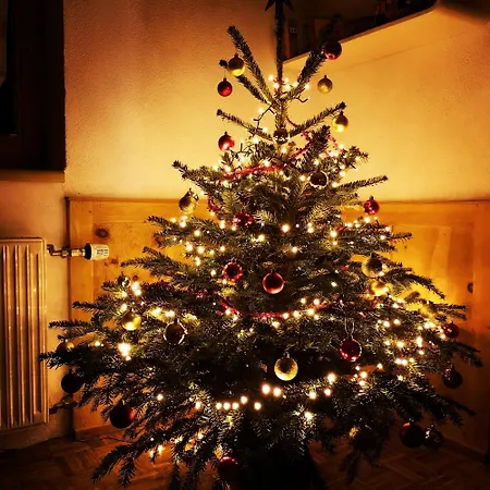 Haus Marieus דירה אומהאוזן