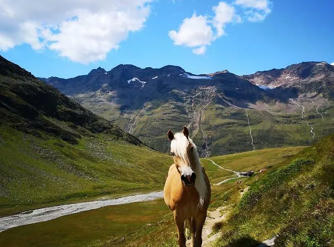 דירה Haus Marieus *